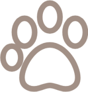 picto-soins-animaux